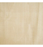 Natural Tasar Silk Stole