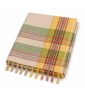 Tasar Dobby Silk Saree
