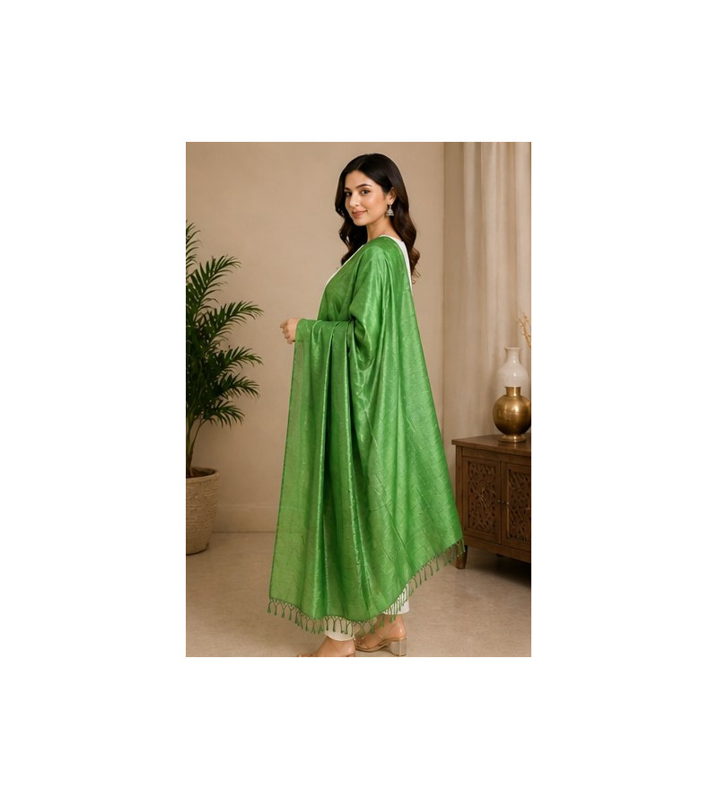 Tasar Dyed Dupatta