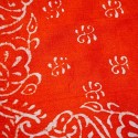 Eri Silk Printed Scarf