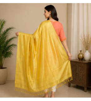 Tasar Dyed Dupatta